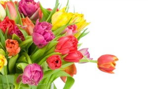 kwiaty-bukiet-tulipany